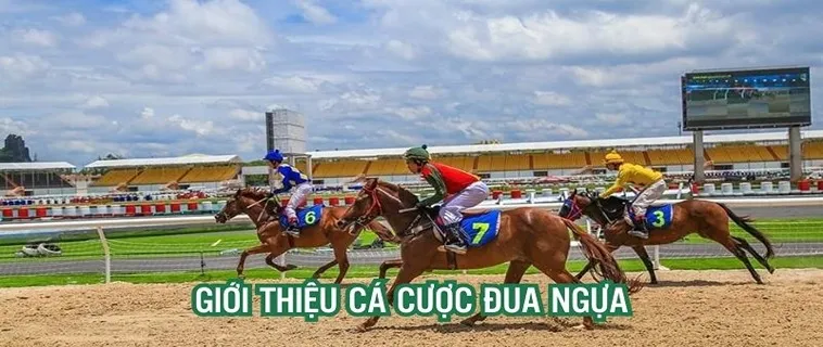 Khám Phá Cá Cược Đua Ngựa 88VIN: Cơ Hội Đổi Đời