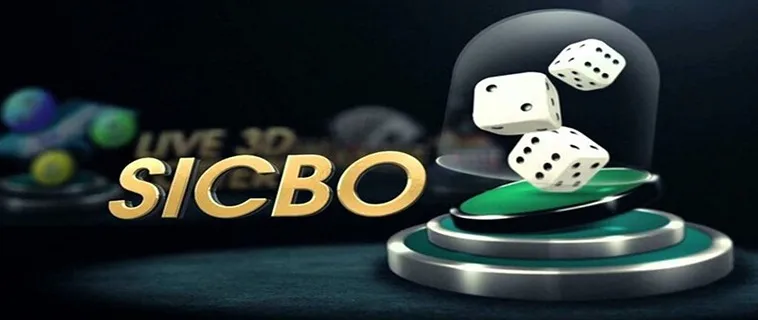 Bí Mật Từ Cao Thủ Sicbo Nhà Cái 88VIN Để Dự Đoán Kết Quả